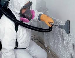 Best Comprehensive Air Testing for Mold Contaminants  in Ocean Springs, MS